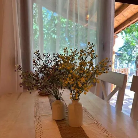Luxury Loft Prázdninový dům *